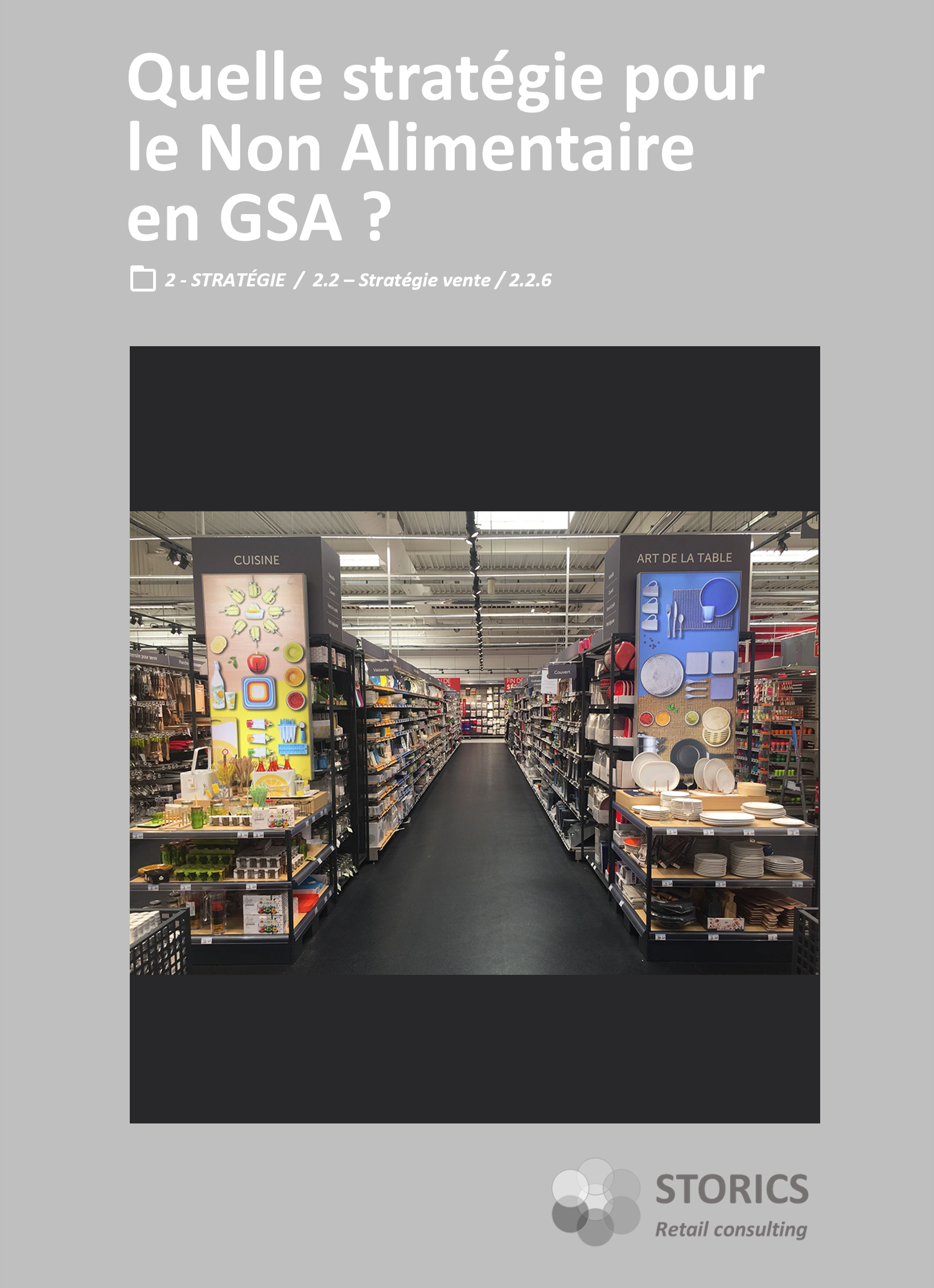 2.2.6 – Quelle stratégie pour le Non Alimentaire en GSA ?