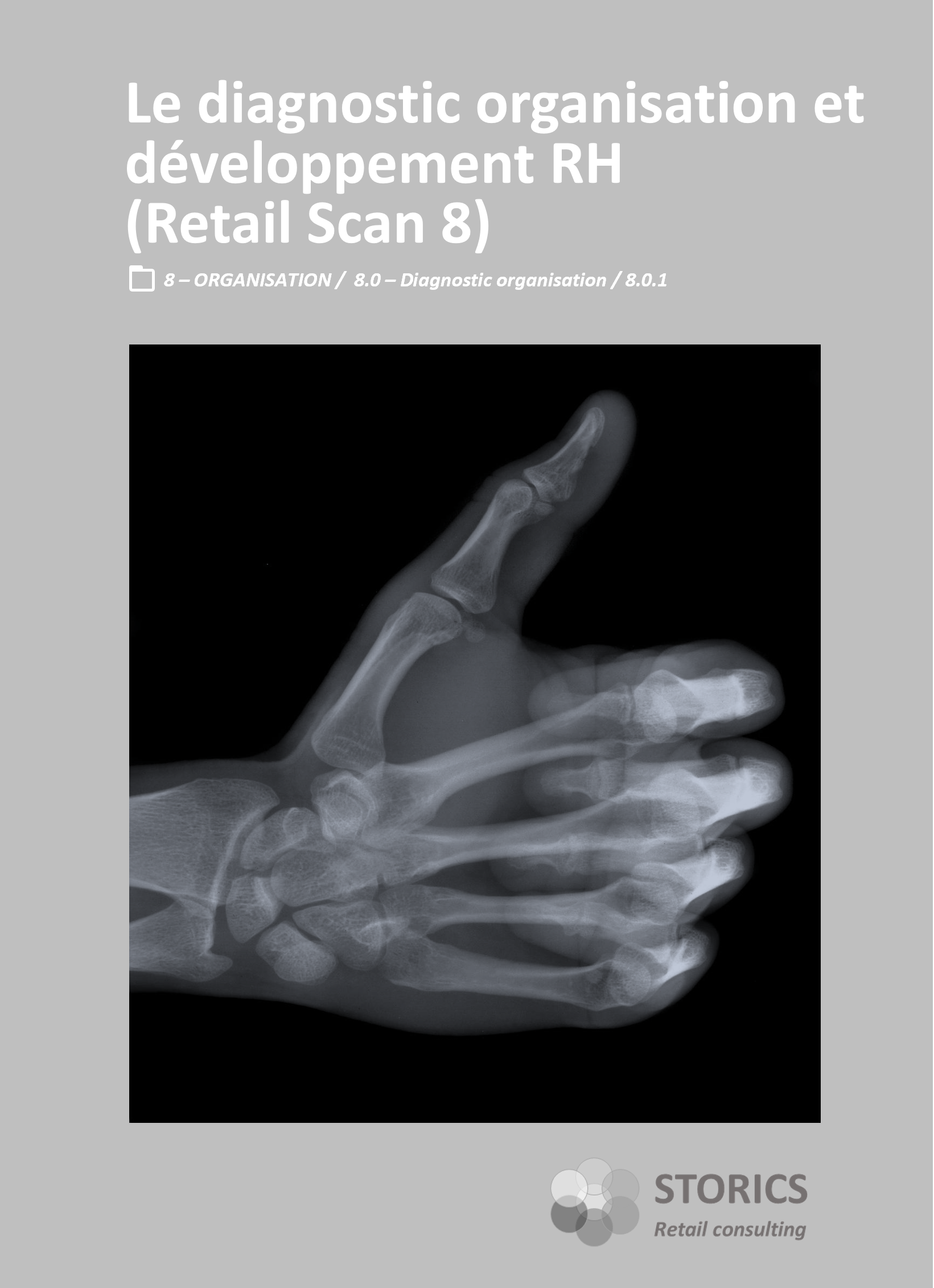 8.0.1 – Le diagnostic organisation et développement RH (Retail Scan 8)