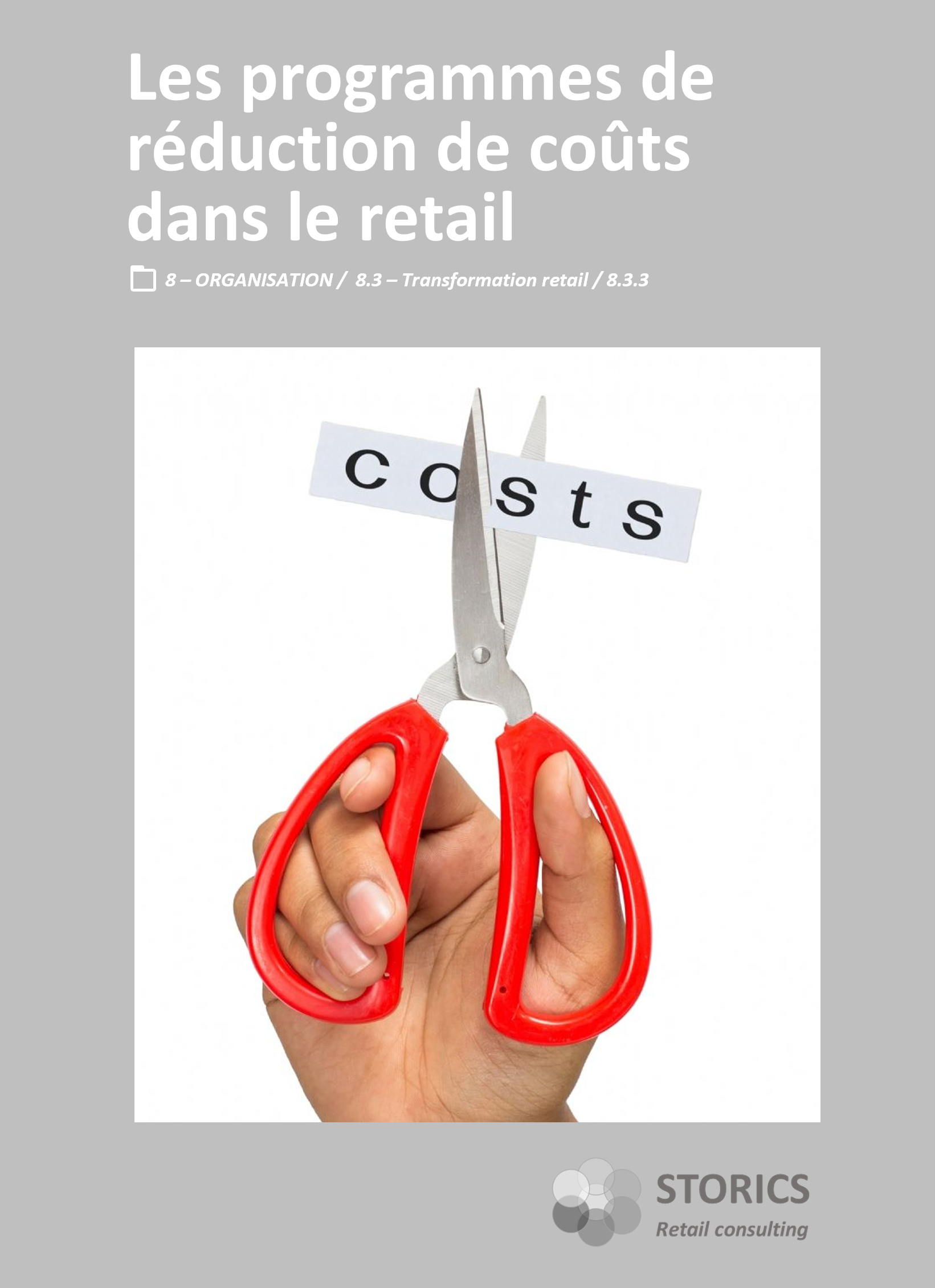 8.3.3 – Les programmes de réduction de coûts dans le retail