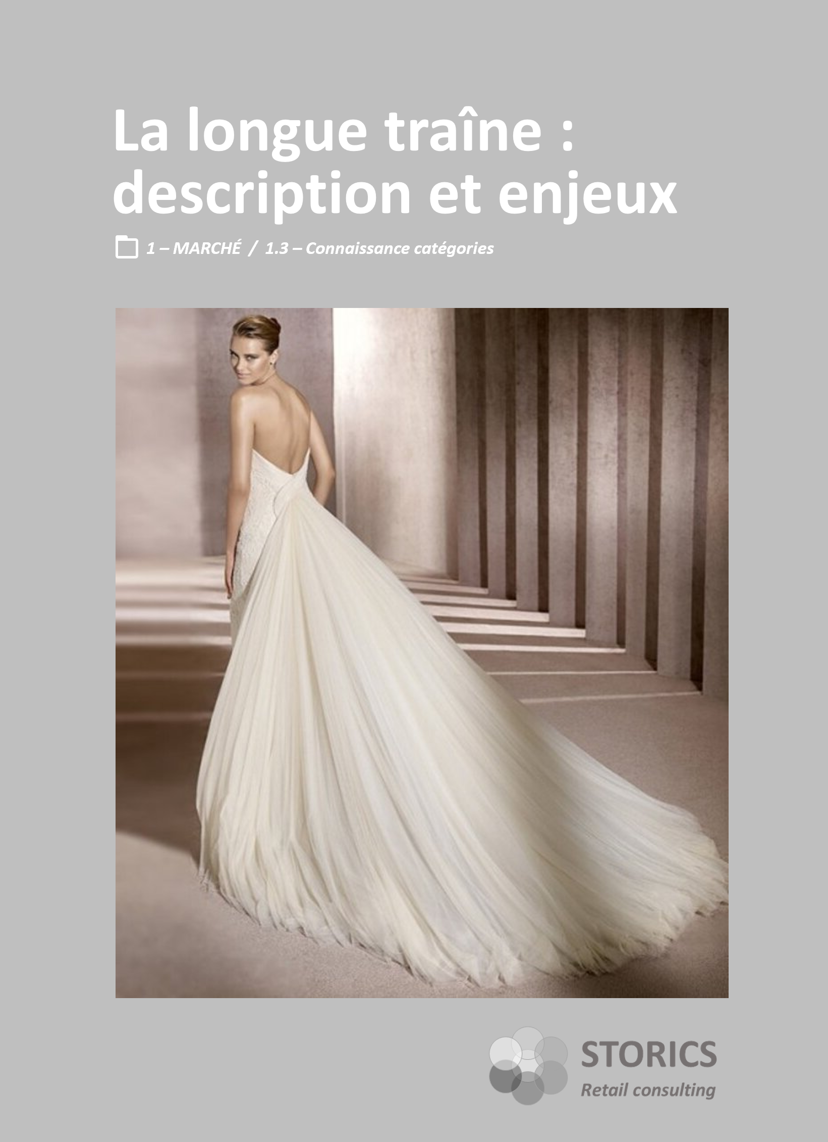 1.3.15 – La longue traîne : description et enjeux