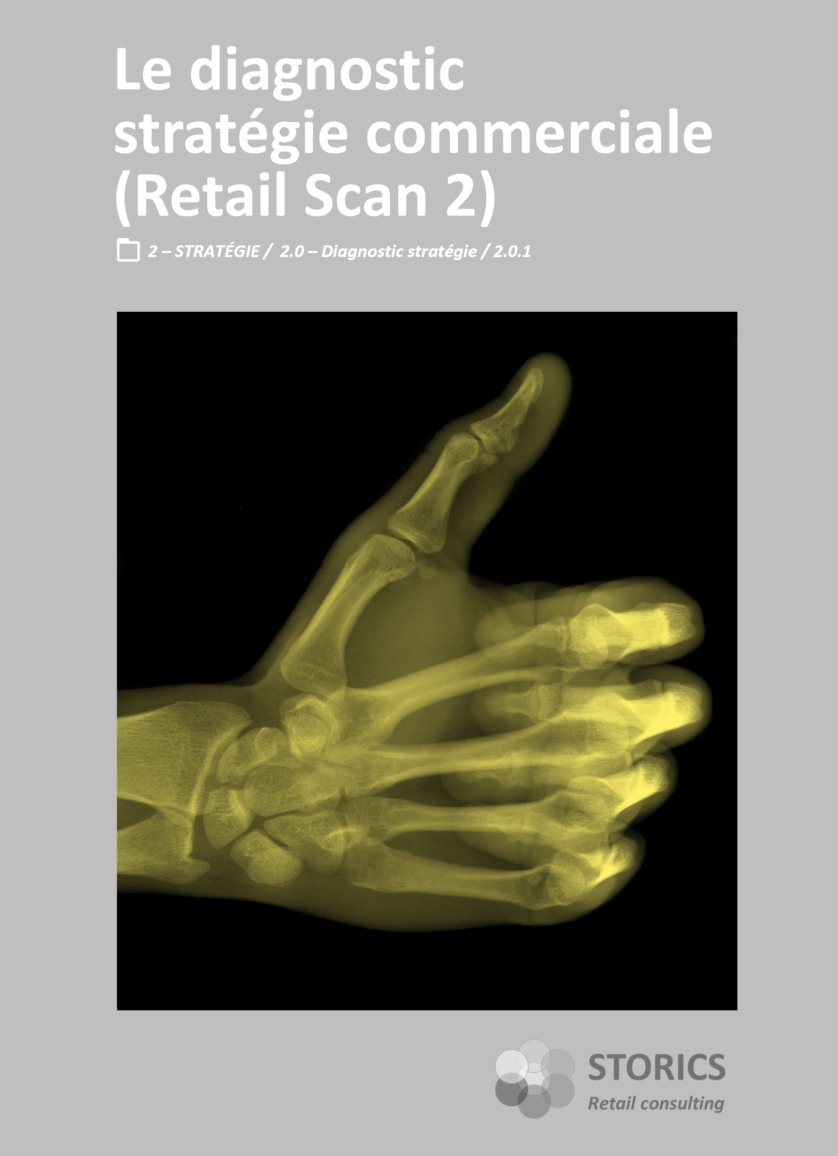 2.0.1 – Le diagnostic stratégie commerciale (Retail Scan 2)