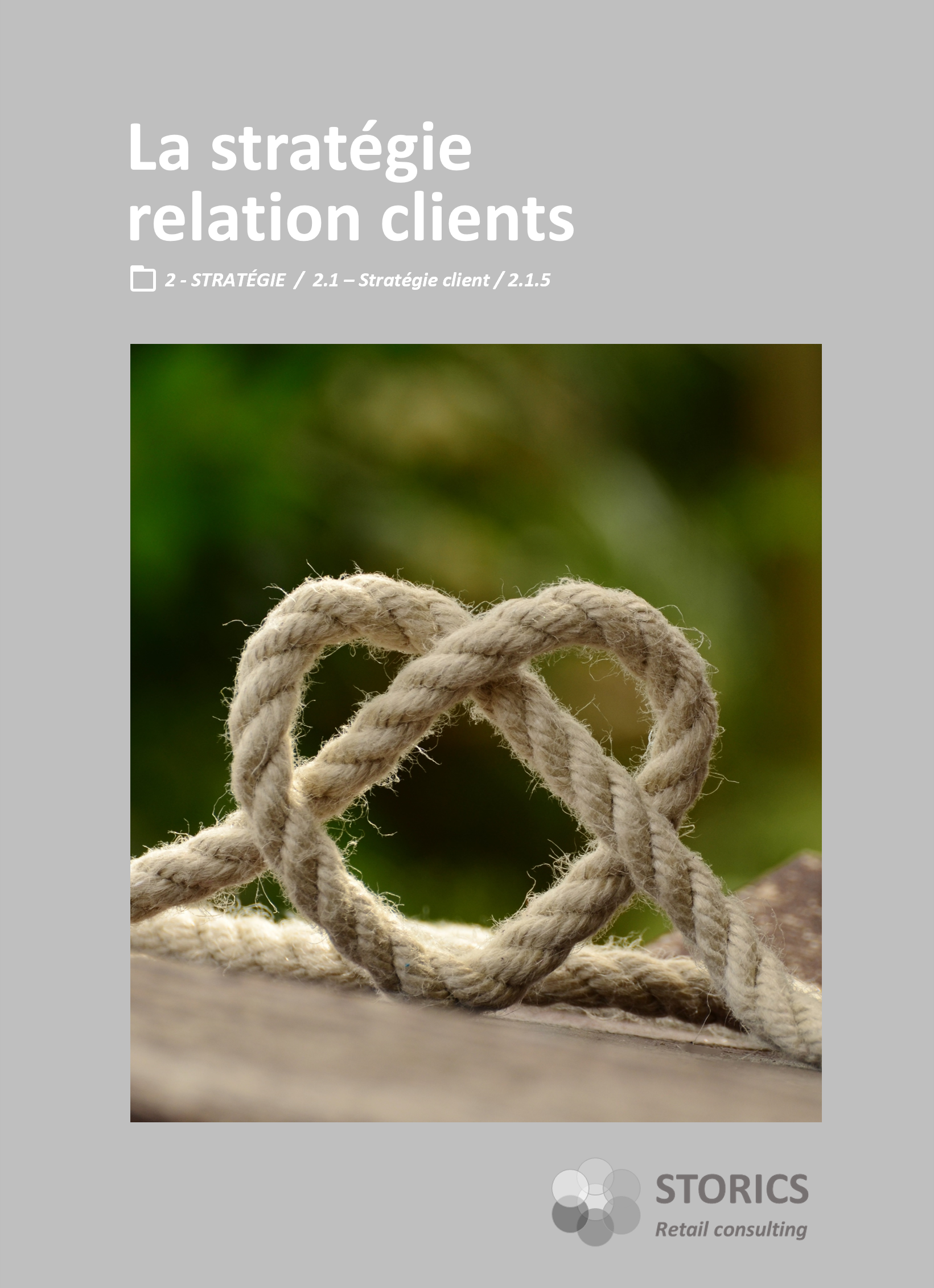 2.1.5 – La stratégie relation clients