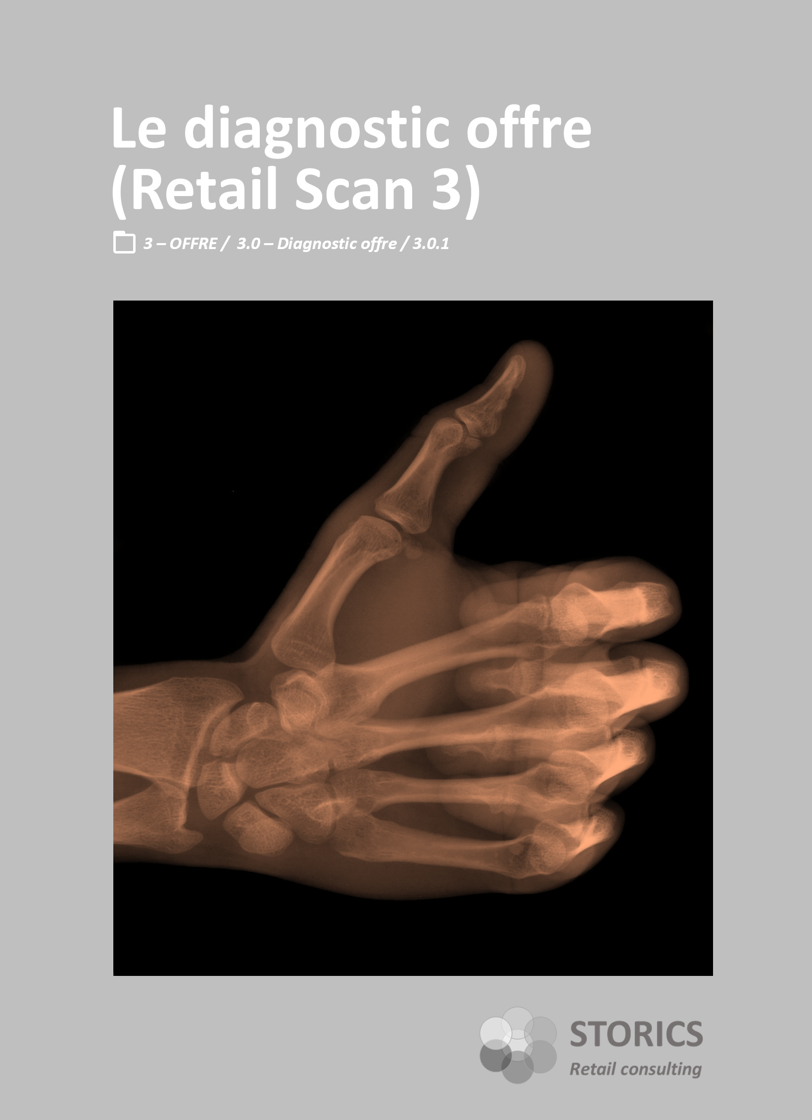 3.0.1 – Le diagnostic offre (Retail Scan 3)