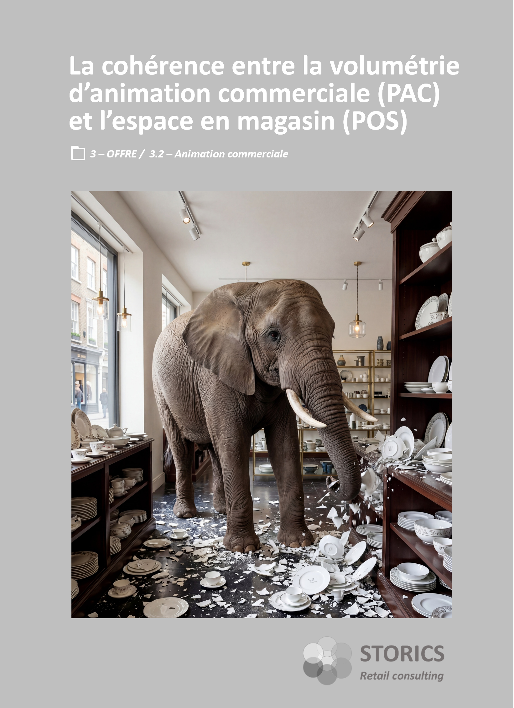3.2.4 – La cohérence entre la volumétrie d’animation commerciale (PAC) et l’espace en magasin (POS)