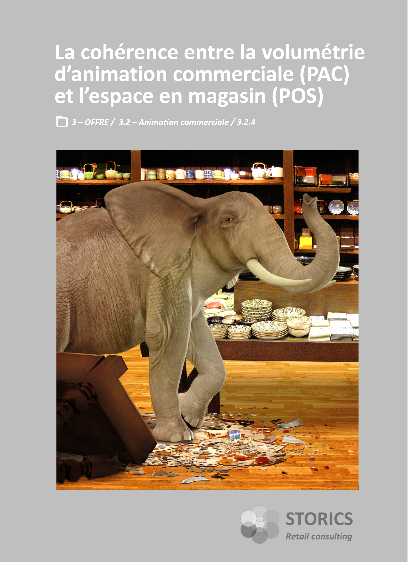 3.2.4 – La cohérence entre la volumétrie d’animation commerciale (PAC) et l’espace en magasin (POS)