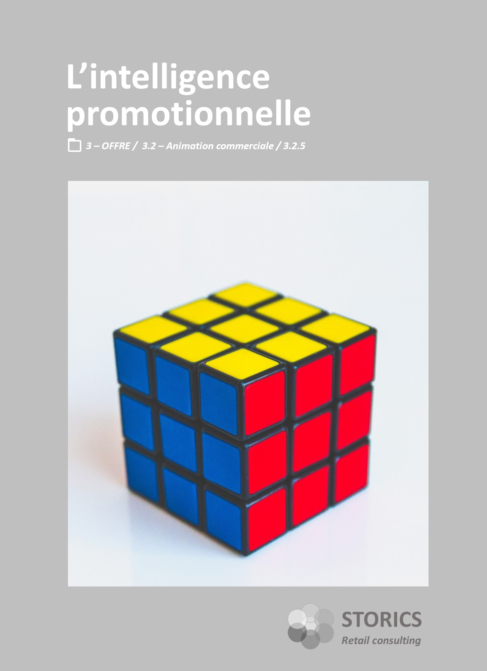 3.2.5 – L’intelligence promotionnelle