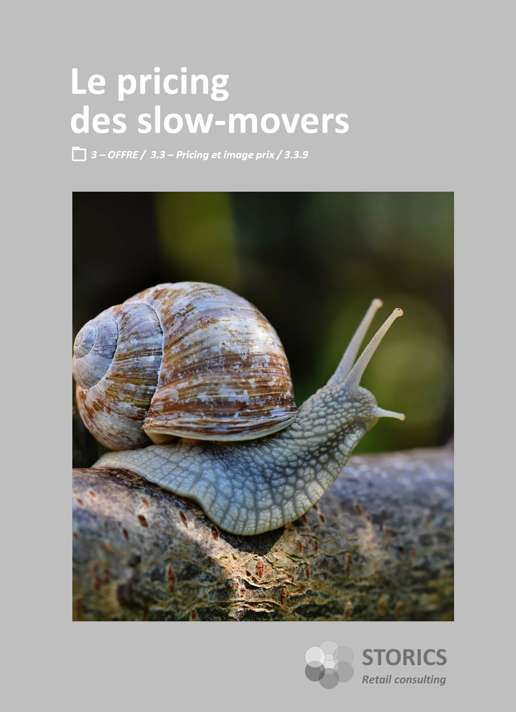 3.3.9 – Le pricing des slow-movers