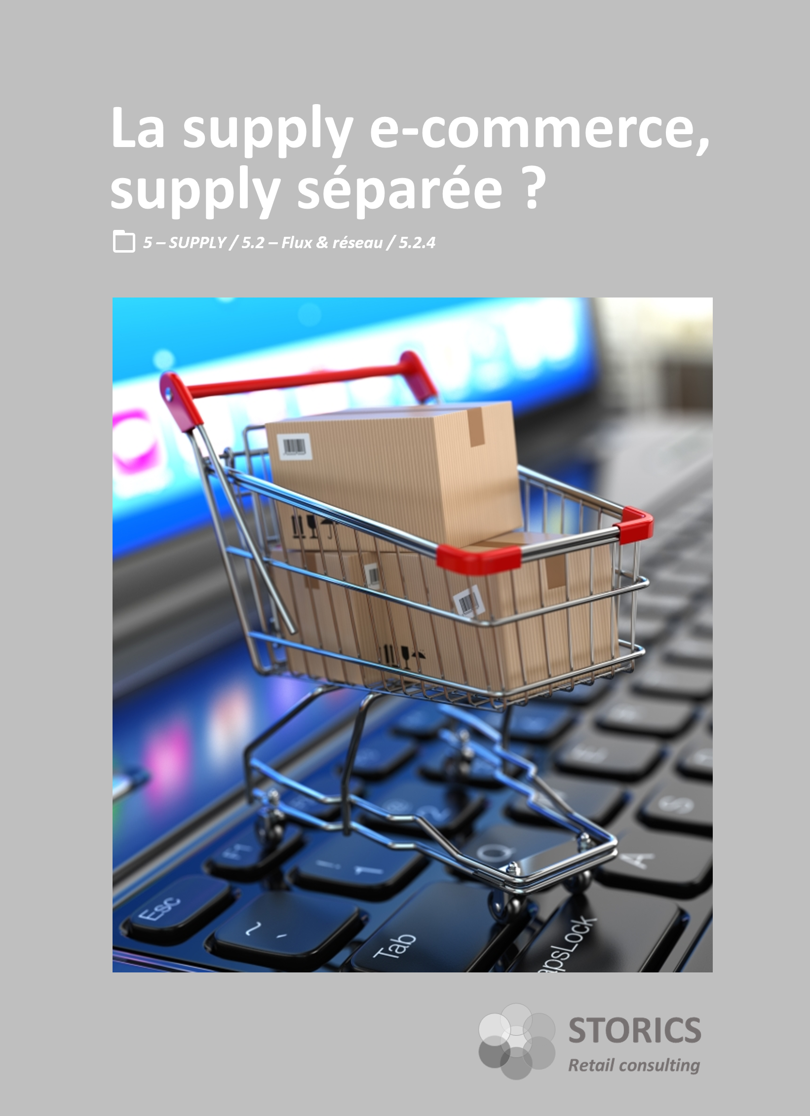 5.2.4 – La supply e-commerce, supply séparée ?