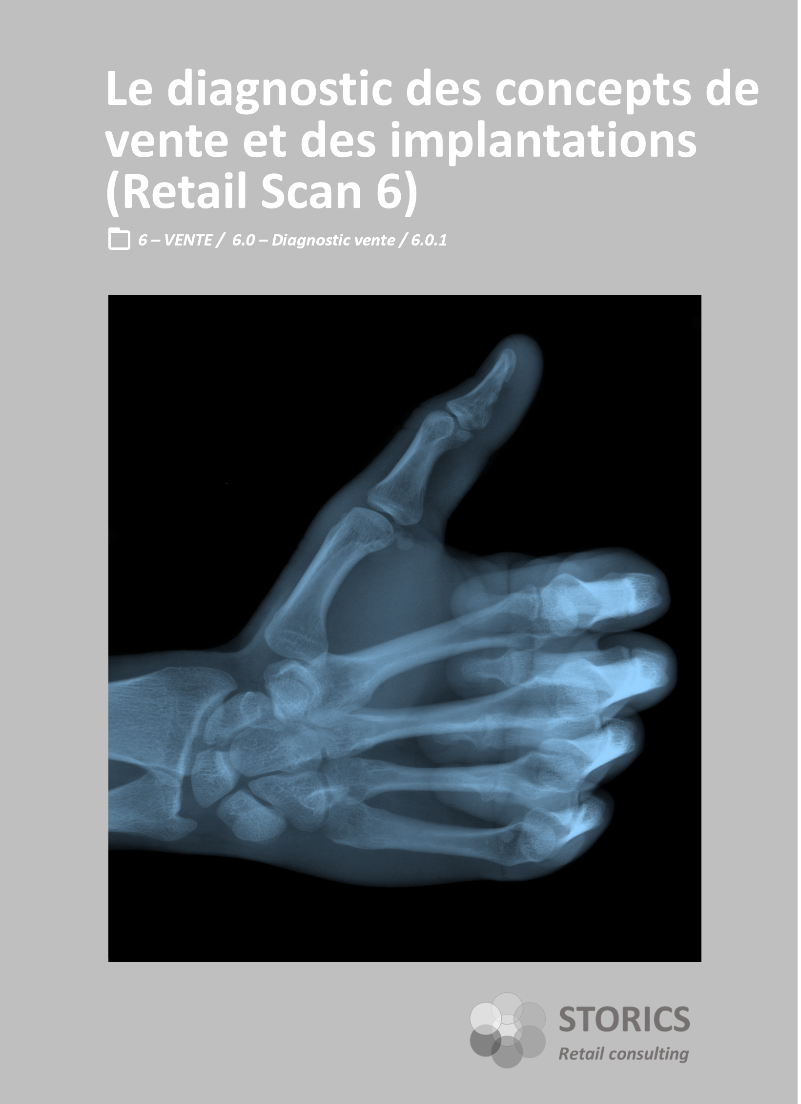 6.0.1 – Le diagnostic des concepts de vente et des implantations (Retail Scan 6)