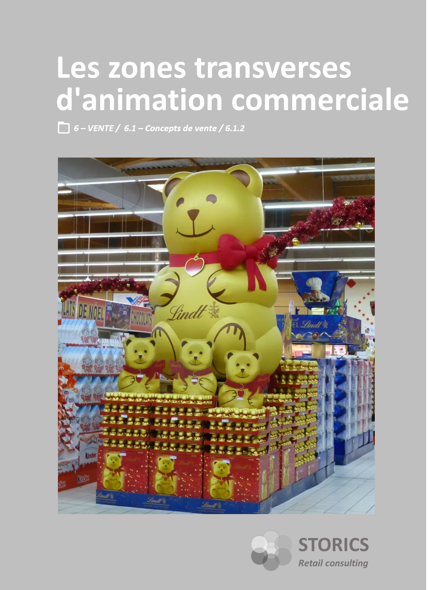 6.1.2 – Les zones transverses d’animation commerciale