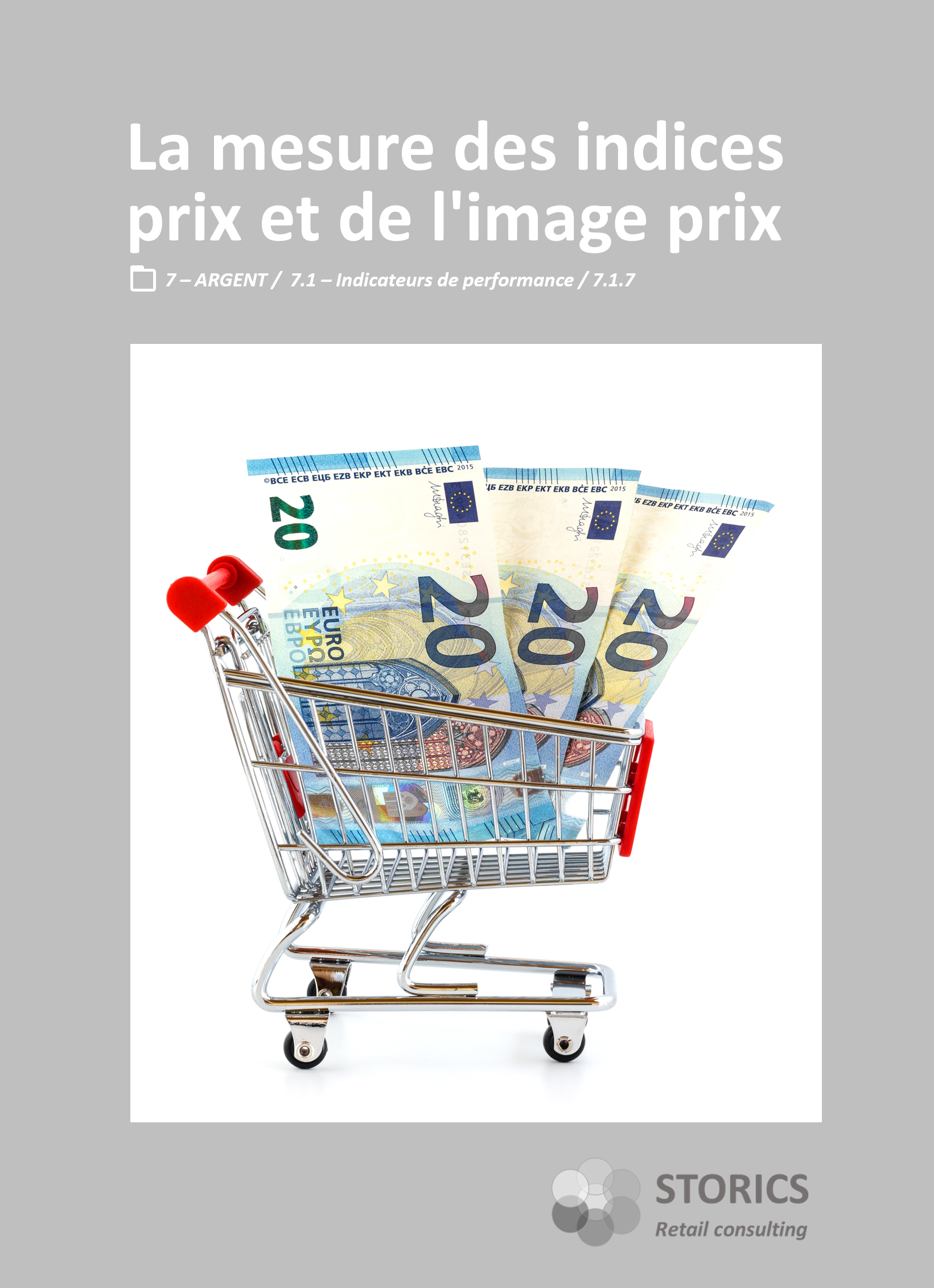 7.1.7 – La mesure des indices prix et de l’image prix