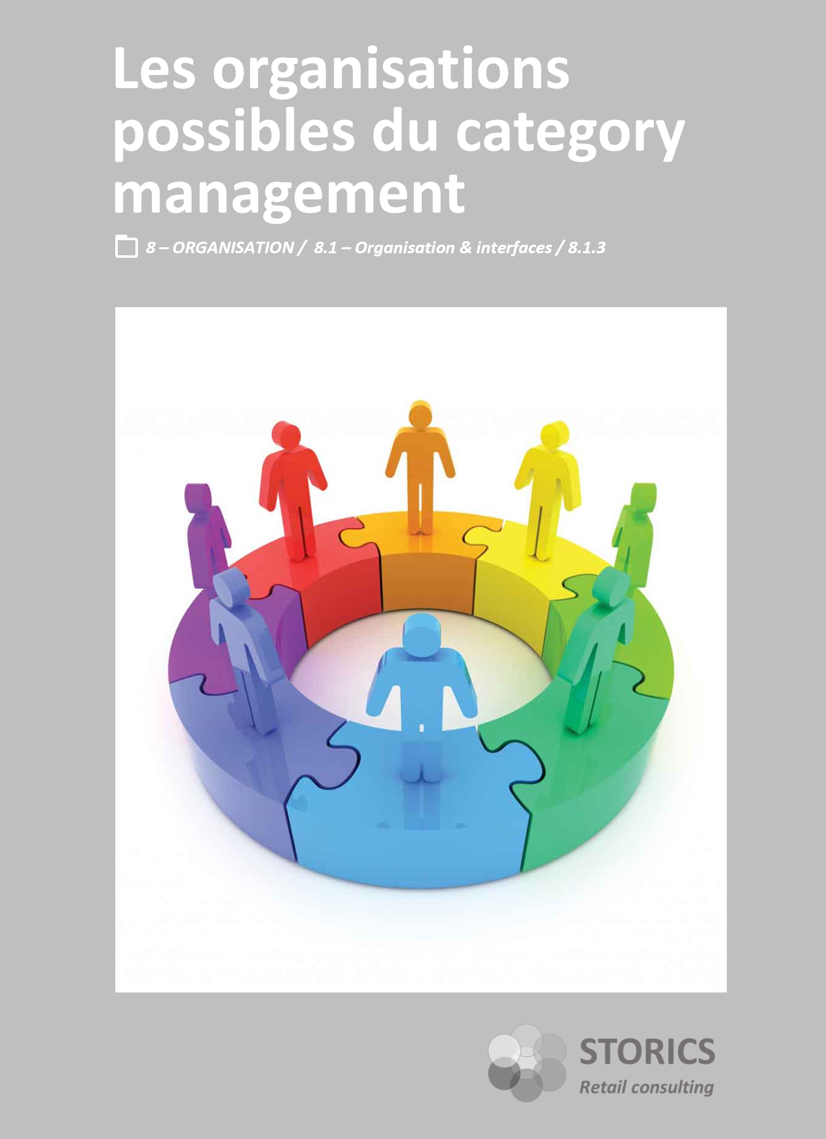 8.1.3 – Les organisations possibles du category management