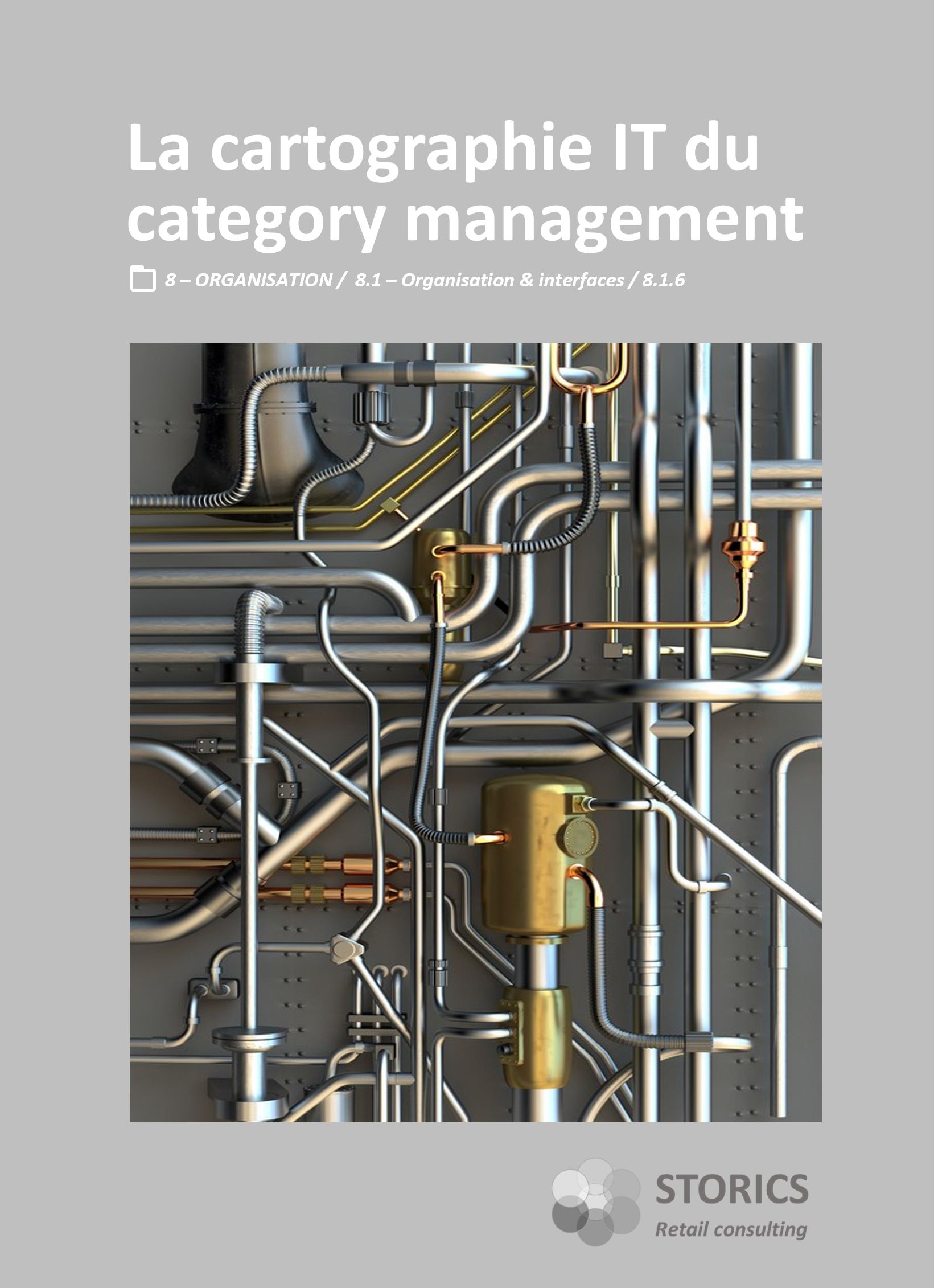 8.1.6 – La cartographie IT du category management