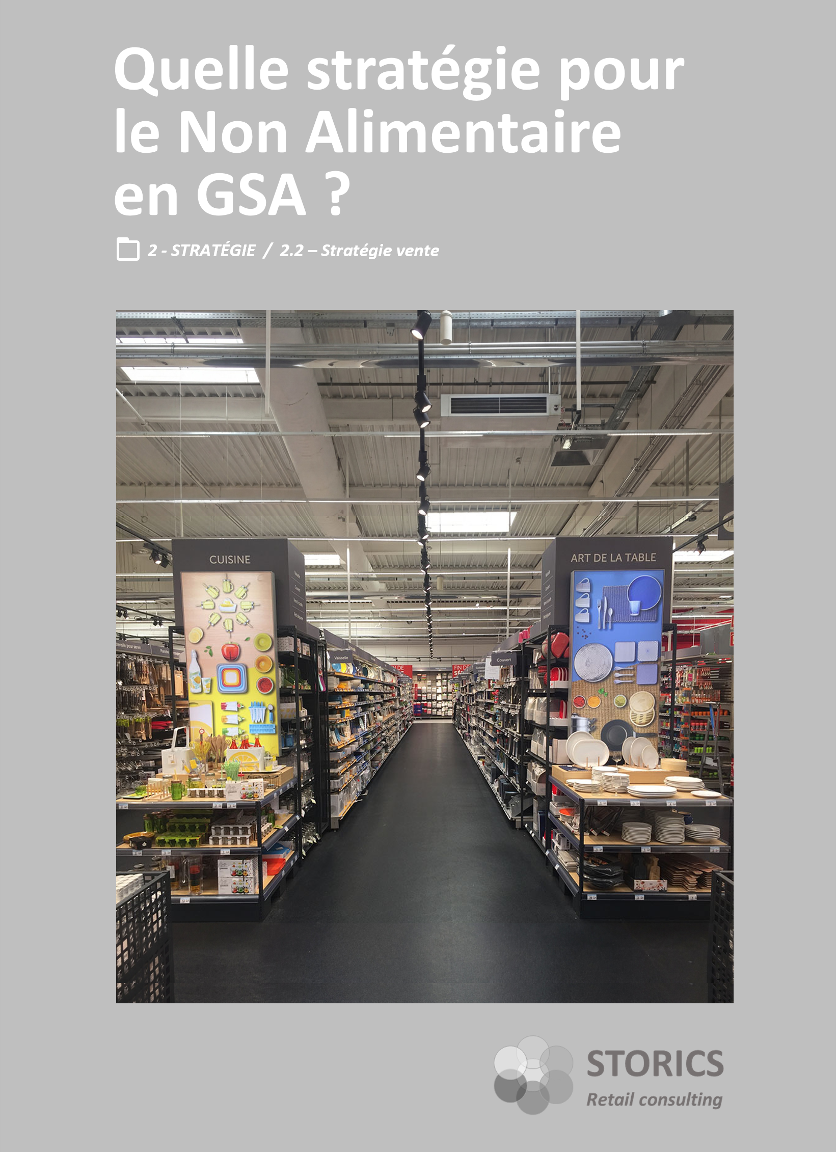 2.2.6 – Quelle stratégie pour le Non Alimentaire en GSA ?